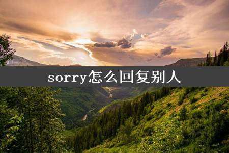 sorry怎么回复别人