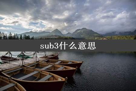 sub3什么意思