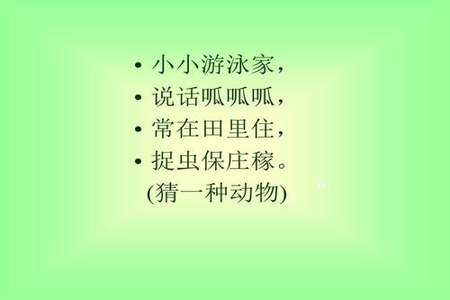 三年级数学捉虫报怎么做