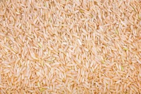 济世之粮谷是古代的什么米
