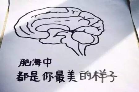 两个学医的怎么谈恋爱