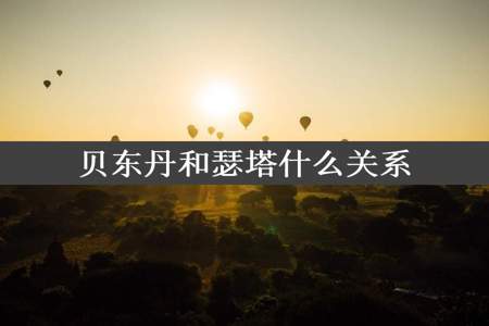 贝东丹和瑟塔什么关系