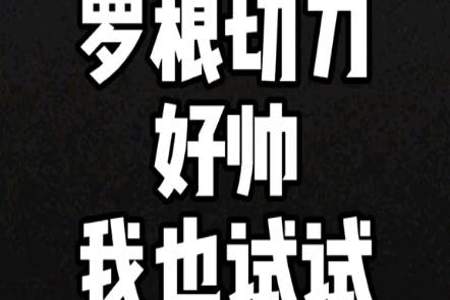 罗根切刀擦汗什么样