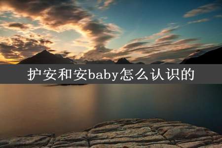 护安和安baby怎么认识的