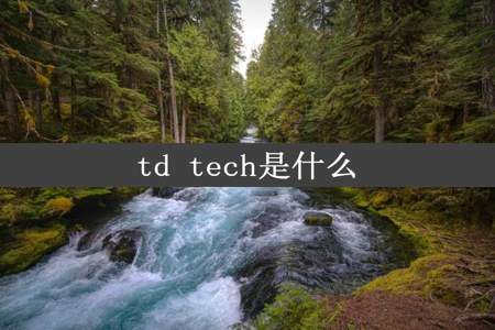 td tech是什么