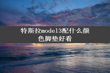 特斯拉model3配什么颜色脚垫好看