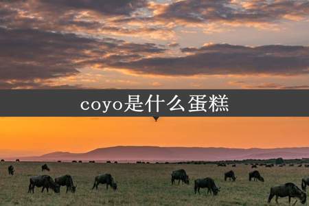 coyo是什么蛋糕