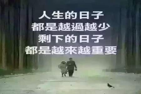 每天都精彩下一句是什么