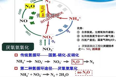 no3-n值是什么