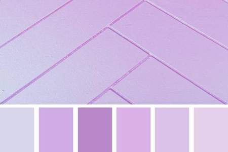 紫色可以用什么三字成语