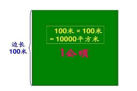 什么公顷等于2000平方