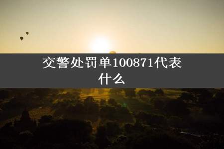 交警处罚单100871代表什么