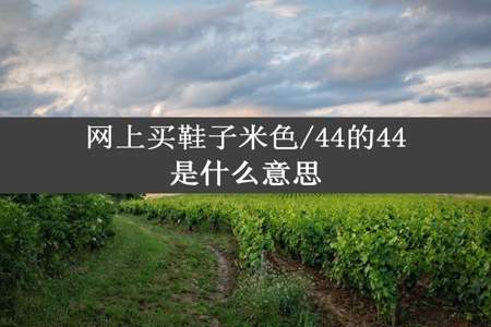 网上买鞋子米色/44的44是什么意思