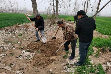 路边种树影响了我的田地怎么办