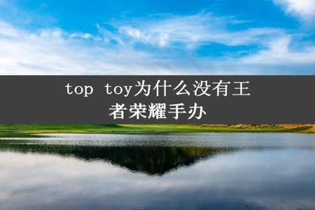 top toy为什么没有王者荣耀手办