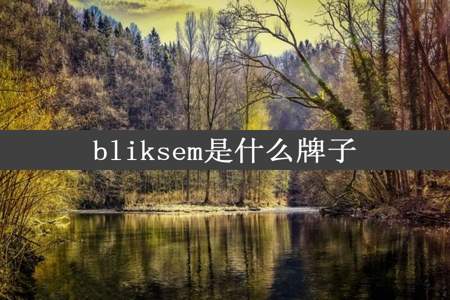 bliksem是什么牌子