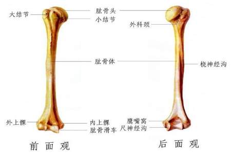 求医问止是什么意思