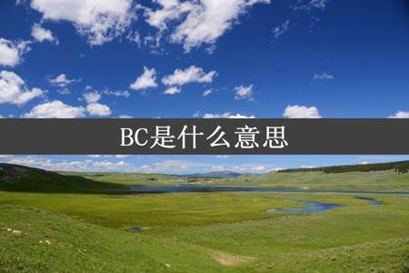 BC是什么意思