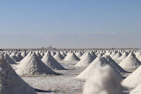 古代的食用盐是怎么从海水中提炼的求