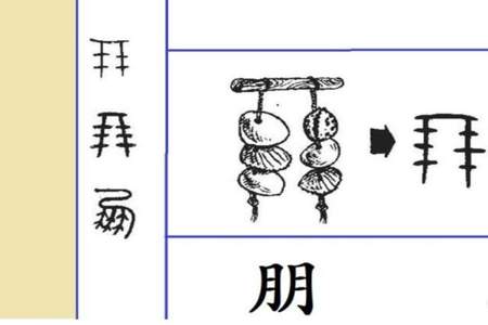 跟汉字有关的汉字有什么