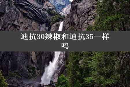 迪抗30辣椒和迪抗35一样吗