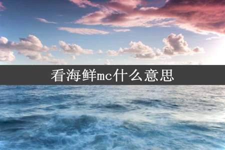 看海鲜mc什么意思