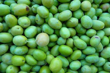 橄榄豆是什么时间成熟