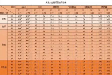 大学生体质健康测试成绩怎么查