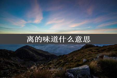 离的味道什么意思