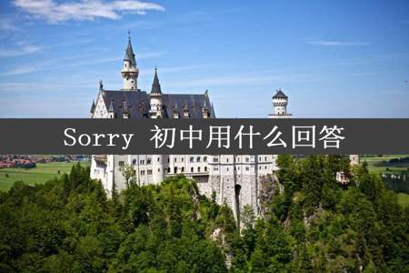 Sorry 初中用什么回答