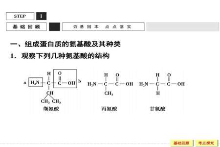 高一生物的氨基酸，蛋白质算法