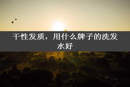 干性发质，用什么牌子的洗发水好