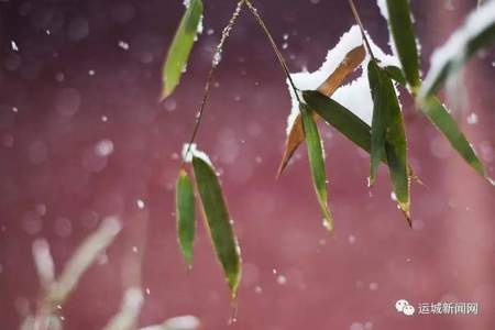 风雨雪统称什么