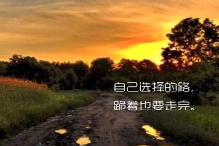 无悔的人生怎么解释