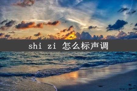 shi zi 怎么标声调