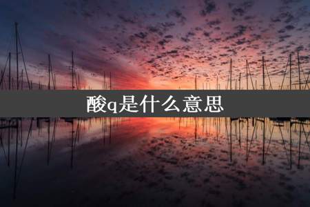 酸q是什么意思