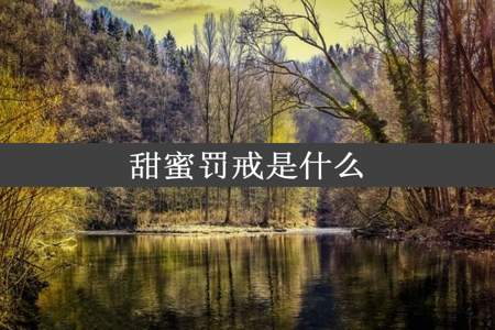 甜蜜罚戒是什么