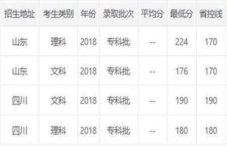 专科分数246可以上什么学校