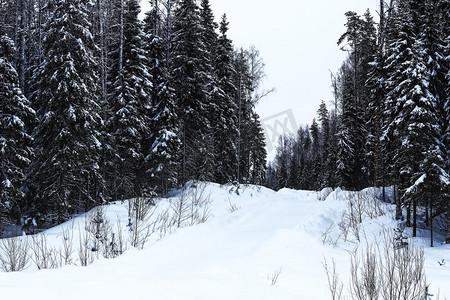 阴天白雪什么意思