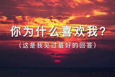 怎么样来回答你为什么喜欢我