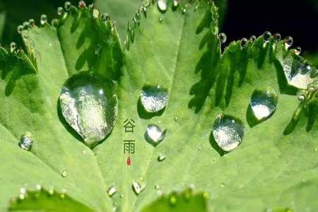 欲雨是什么意思