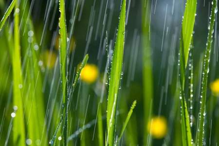 聆听雨声标准读音