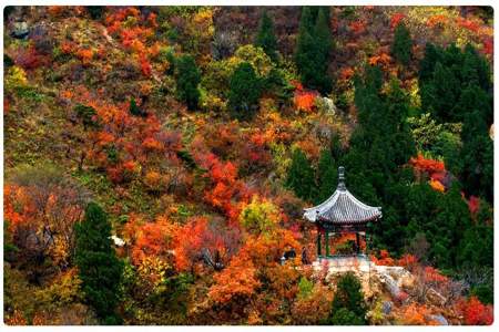 如何去香山公园