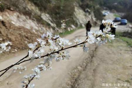 山空春芜在爱情里什么意思