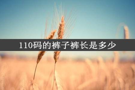 110码的裤子裤长是多少