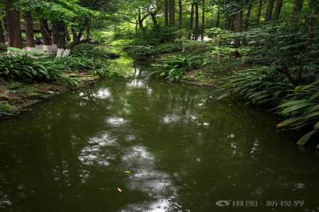 雨在小河里什么填空