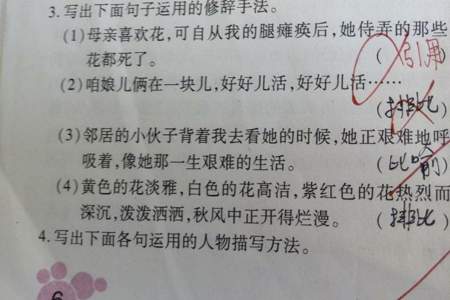 于是莲叶间这句诗运用了什么的修辞手法