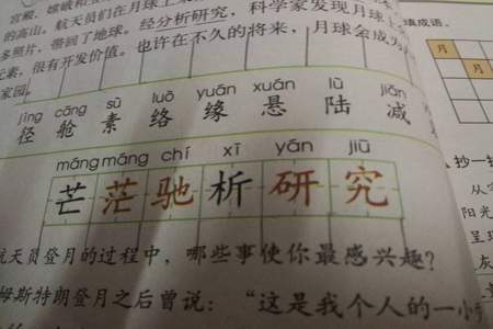 儿子的儿还可以组啥词