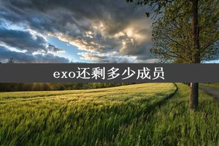 exo还剩多少成员