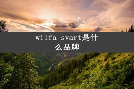 wilfa svart是什么品牌